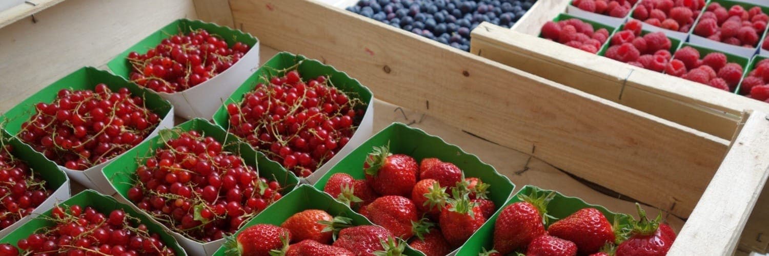 Bannière de La Colline aux fruits