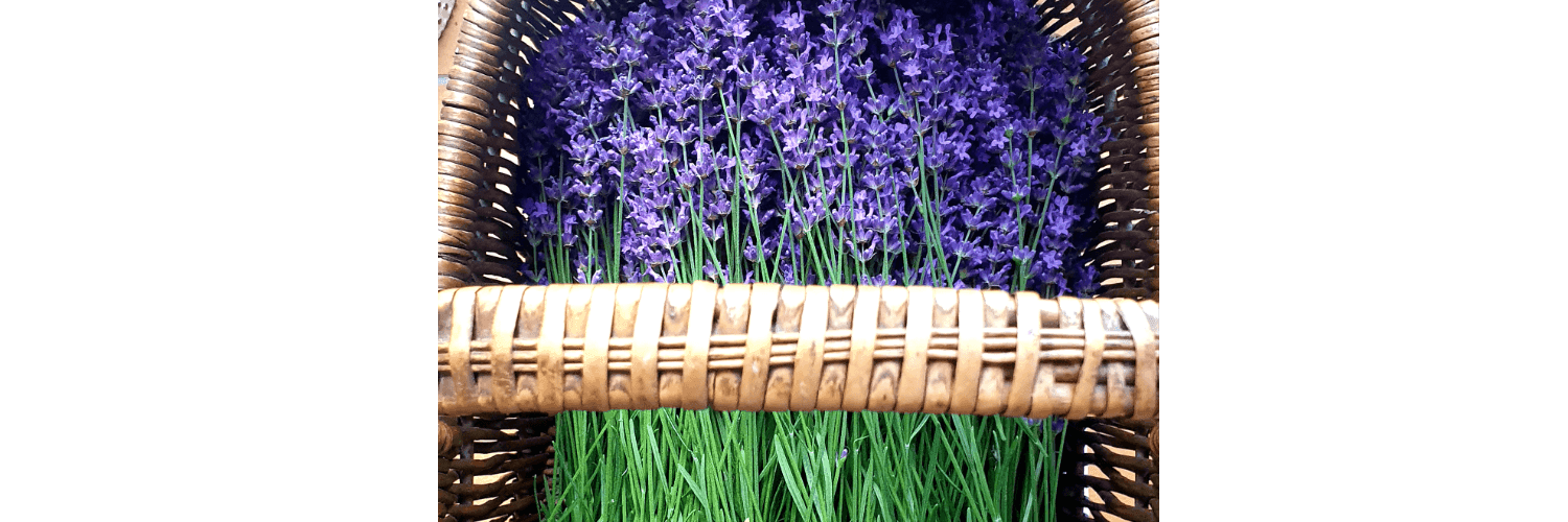 Bannière de Les Jardins de Louise