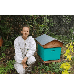 Les Ruchers d'Enora Les Ruchers d'Enora #1