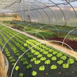 Jardin du Poirier Jardin du Poirier #3