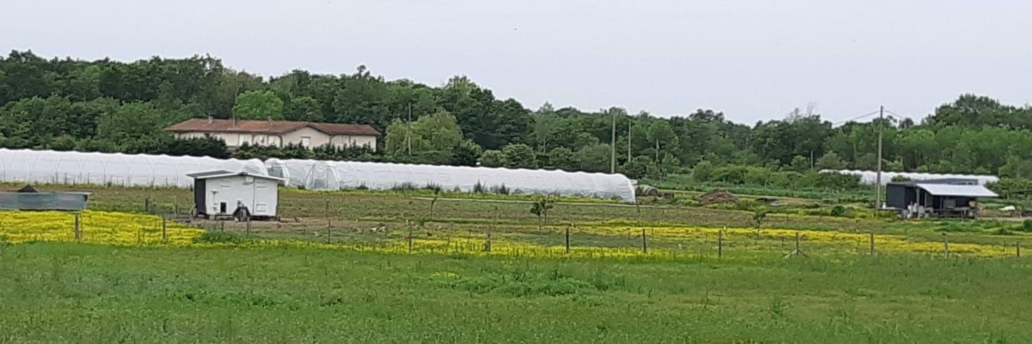 Bannière de le jardin de Souleymane