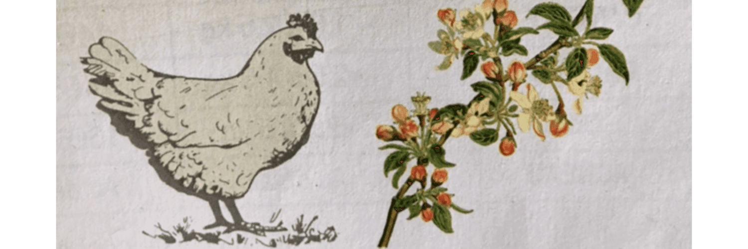 Bannière de Aurélie Lardy