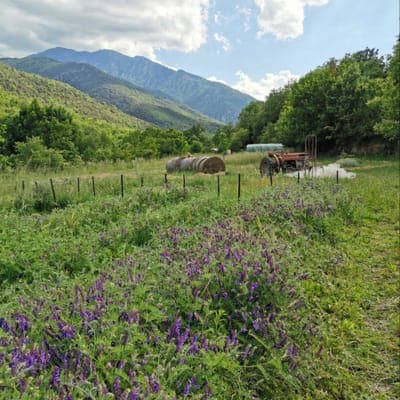 Logo de "Les demains dans la terre" Formiguères