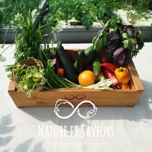 Grand Panier de Légumes Astérien