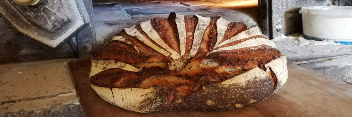 Bannière de Nature et Paysans