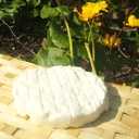 Fromage de chèvre - Le palais