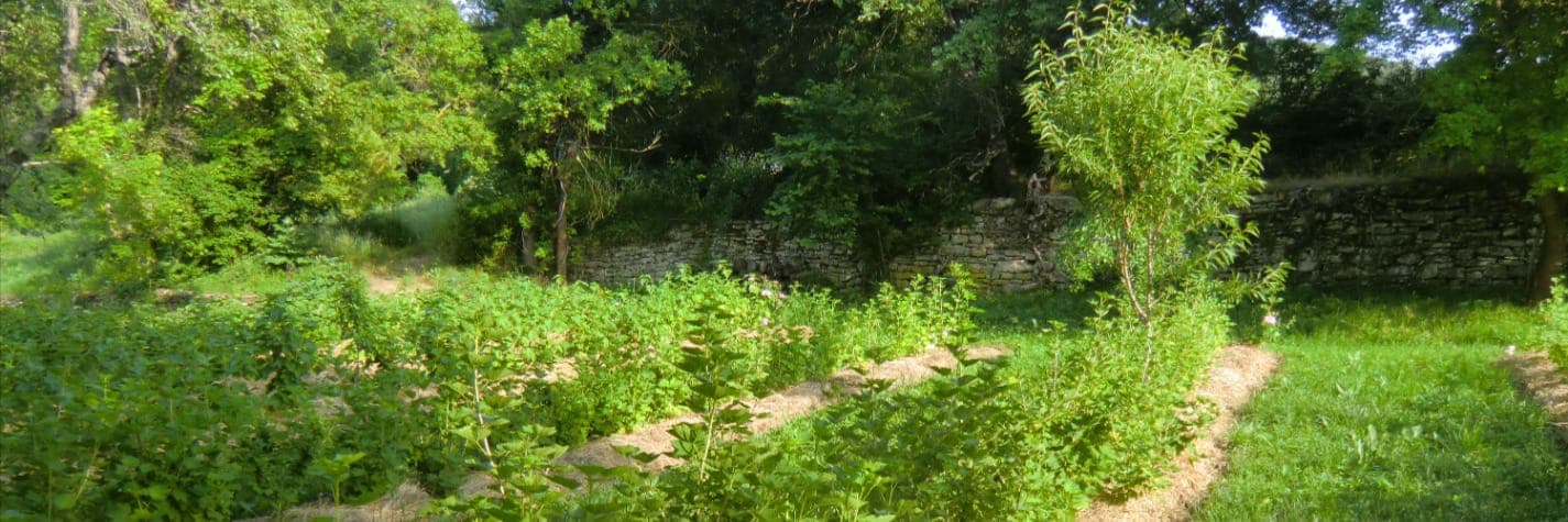 Bannière de Rouge Maboul