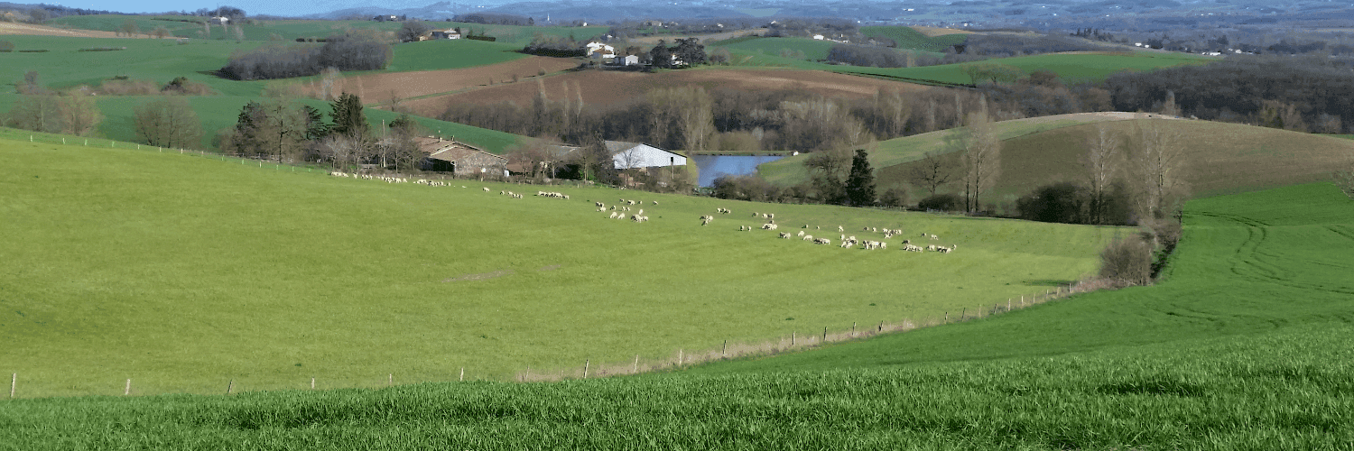 Bannière de GAEC D'EN MAUREL