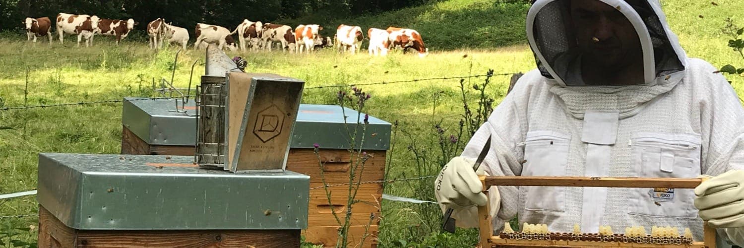 Bannière de GAEC Les Nectars d'Isalys