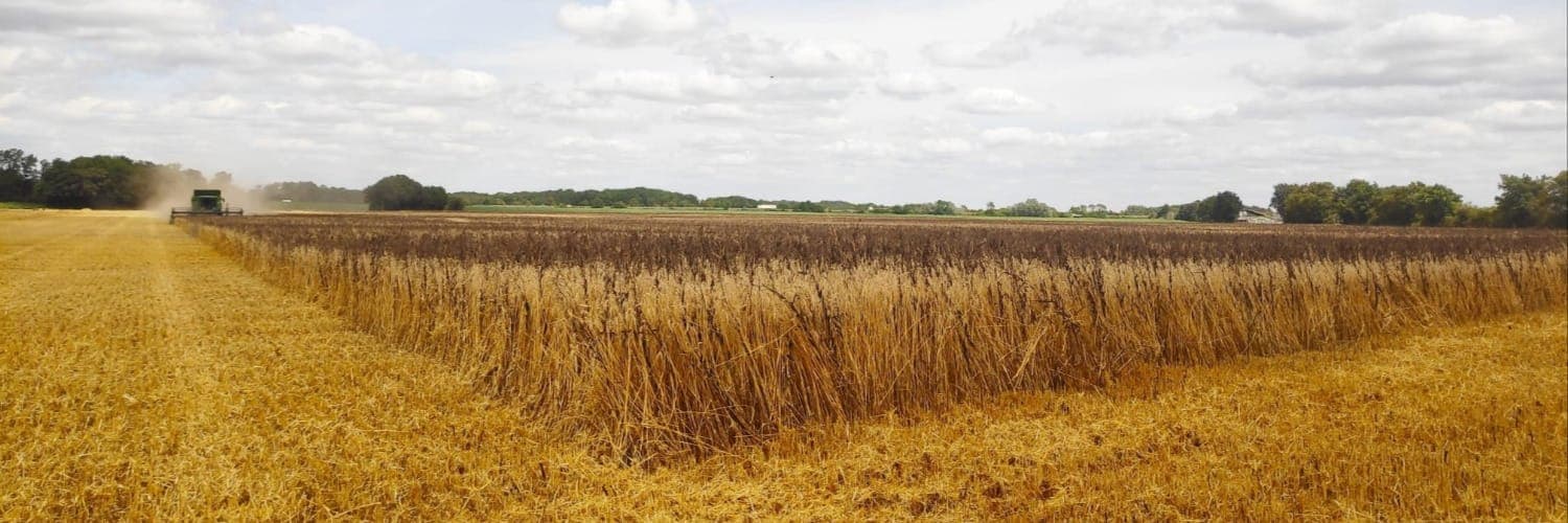 Bannière de La Ferme de Nepri