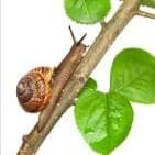 GAEC L'ESCAR'PADE GAEC L'ESCAR'PADE #6