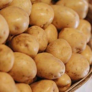 Pommes de terre chair ferme