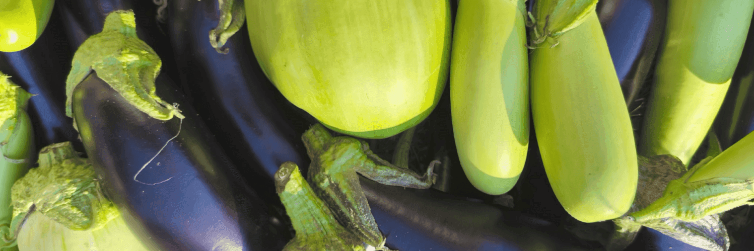 Bannière de Le Potager des Quinze Couleurs