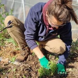 Le jardin forêt de Cléophée Le jardin forêt de Cléophée #8