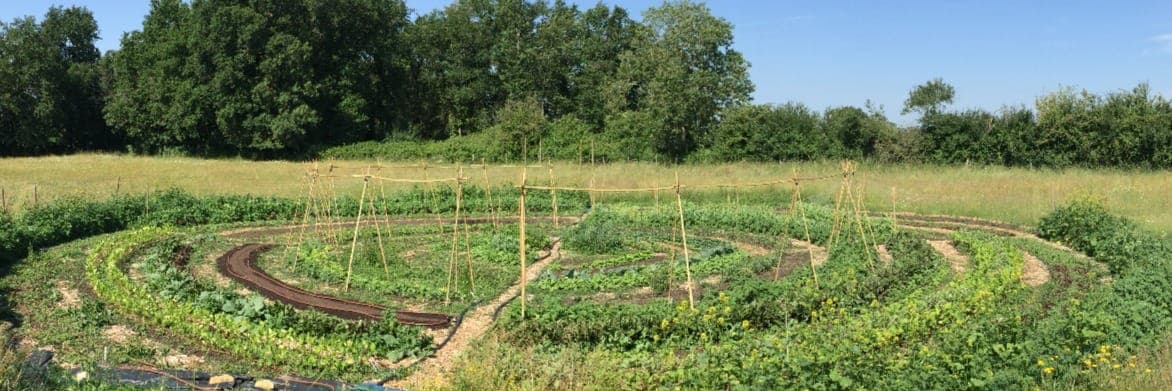 Bannière de Herb' O Jardin