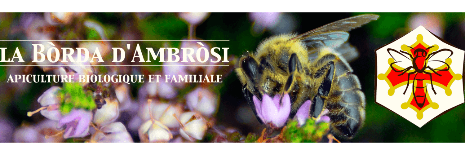 Bannière de GAEC La Borda d'Ambrosi