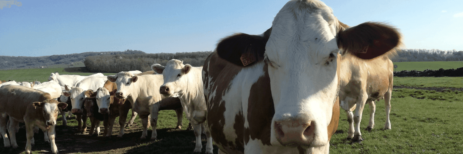 Bannière de La ferme de Germain Deprugney