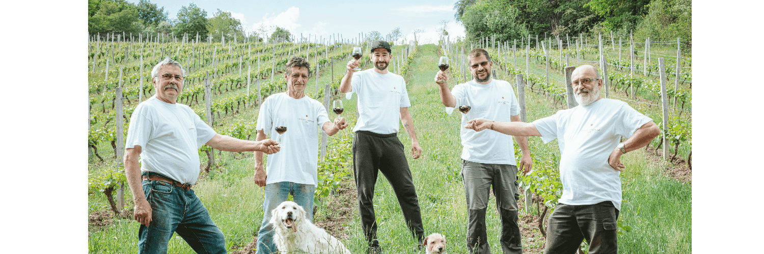 Bannière de CAVE ABONNAT