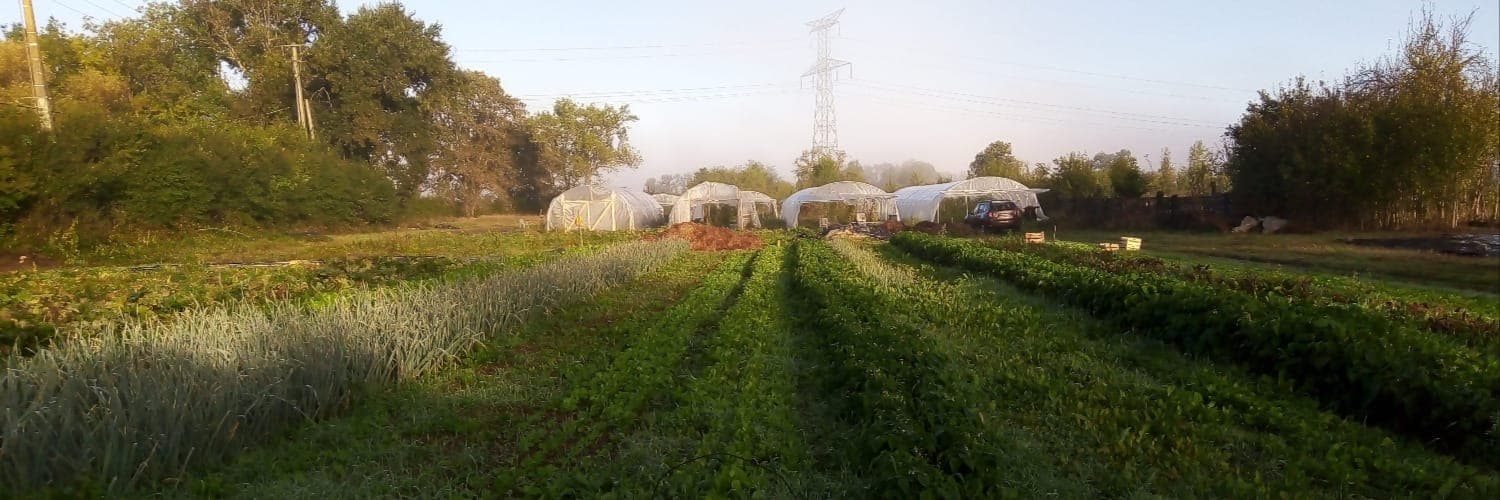 Bannière de Le Potager du Coin