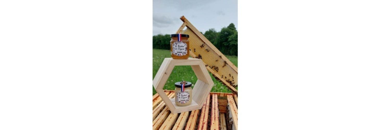 Bannière de Le Rucher de l'Espoir