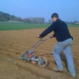 Jardin du Poirier Jardin du Poirier #4