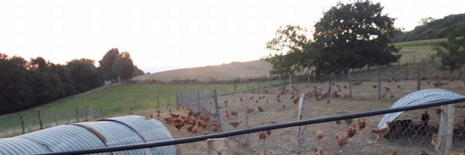 Bannière de Ferme de Coderon à Chassignieu