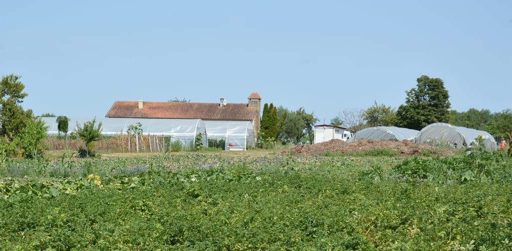 Bannière de Le Jardin d'Hivers
