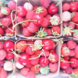 Marty Camille Marty Camille #2