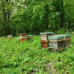 Joël GARNIER Joël GARNIER #6