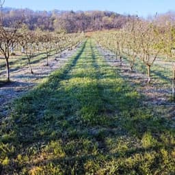 Vidal Jean-Christophe Vidal Jean-Christophe #6