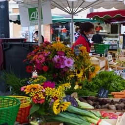 Les Jardins de la Lupte Les Jardins de la Lupte #4