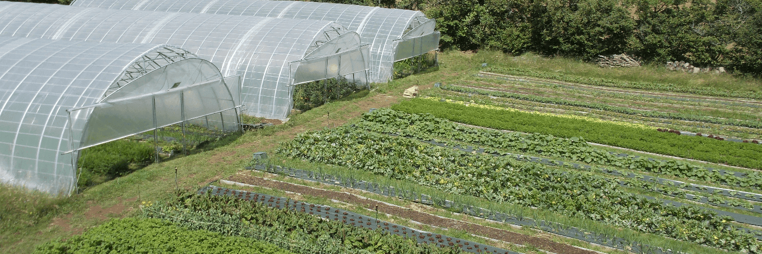 Bannière de Le jardin des Margots- producteur