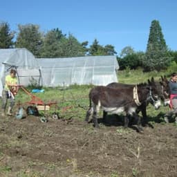 Patricia Simonin Patricia Simonin #2