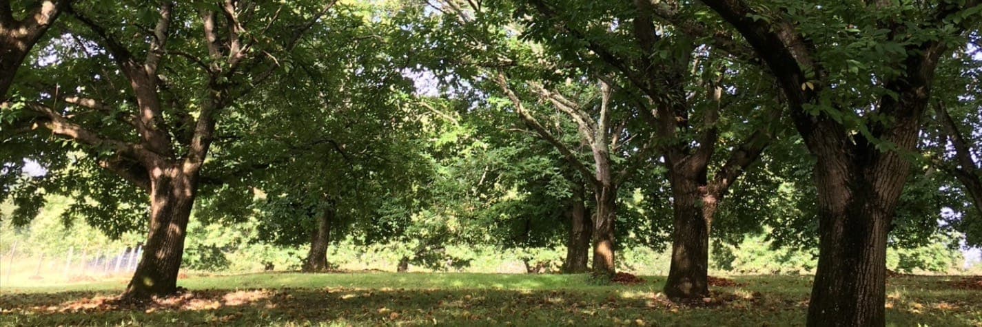 Bannière de La Ferme de Louisotte
