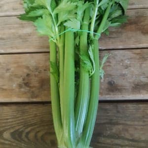 CELERI BRANCHE PIED