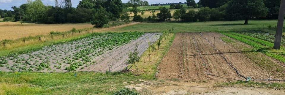 Bannière de Les Jardins du Carre d Ach