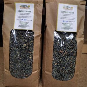LENTILLES VERTES