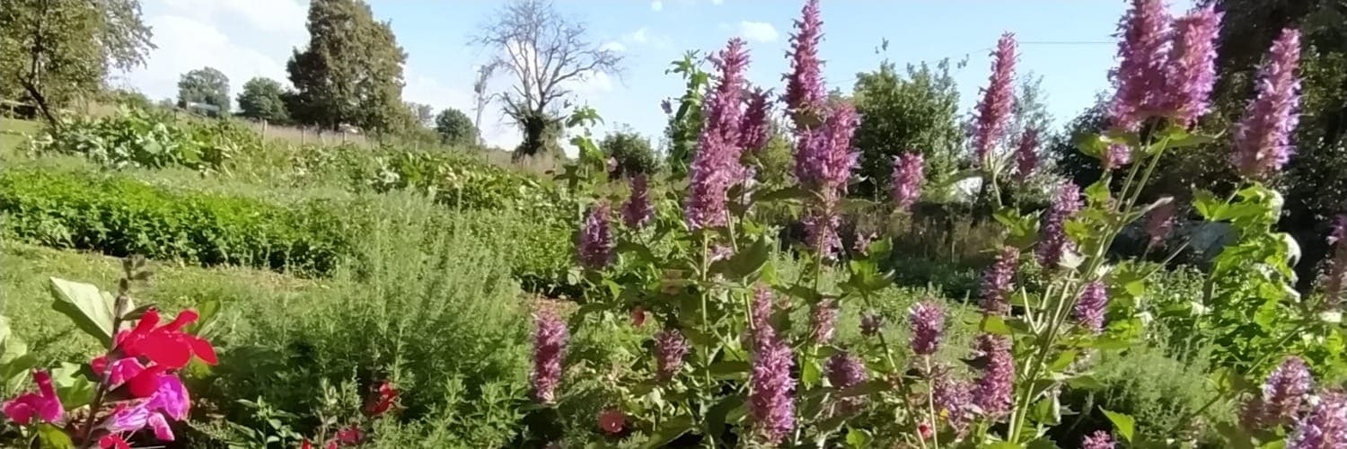 Bannière de Le Jardin du Coin