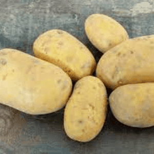 Pommes de terre nouvelles