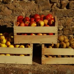 La Charrue Tordue La Charrue Tordue #3