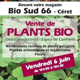 Logo de Plants AB de Nathalie - Céret