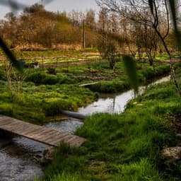 Cressonnière de la Fontaine Archer Cressonnière de la Fontaine Archer #7