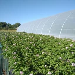 La ferme du cordier La ferme du cordier #7