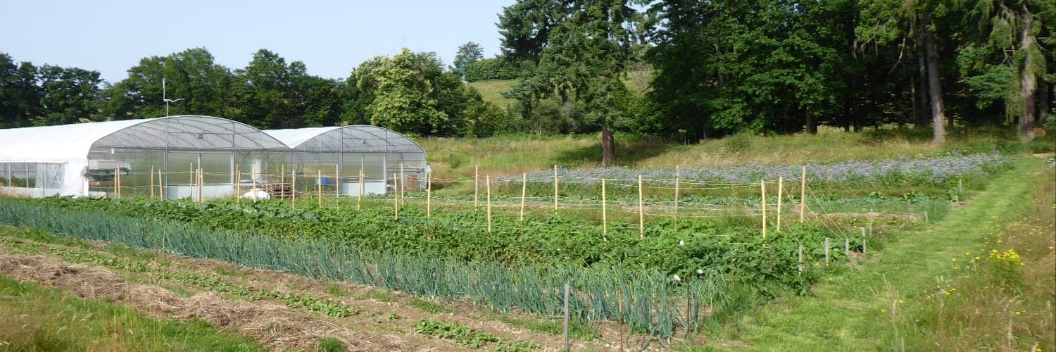 Bannière de Le Champ des Souches