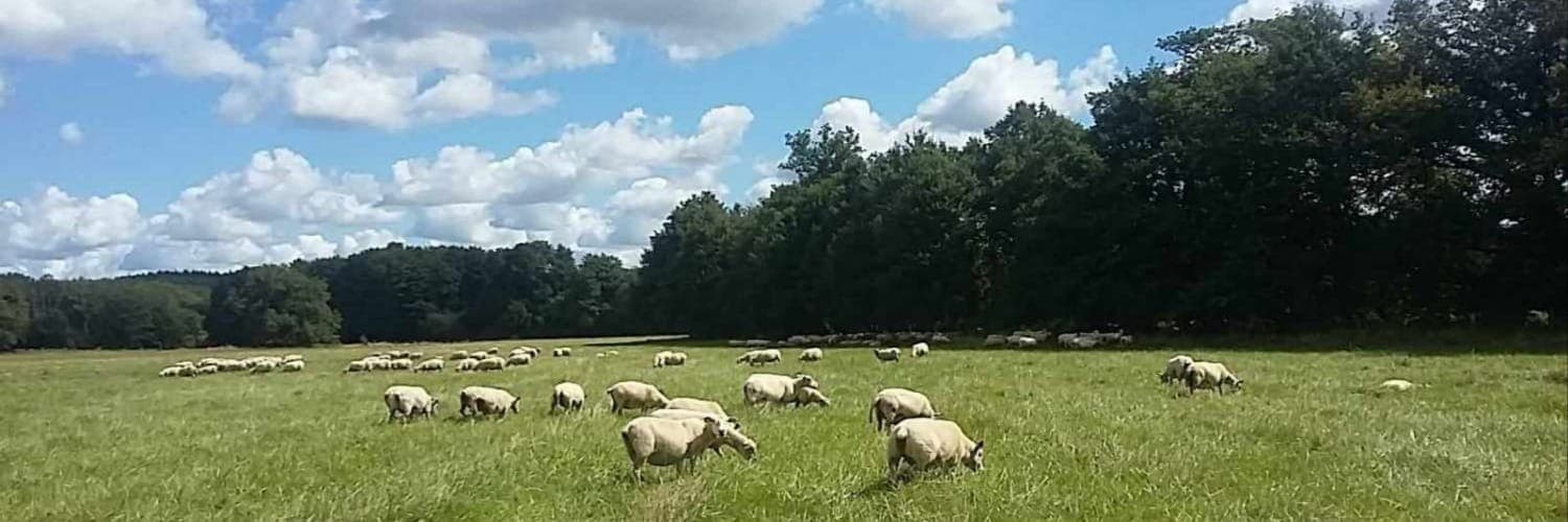 Bannière de Ferme du Pont Neuf