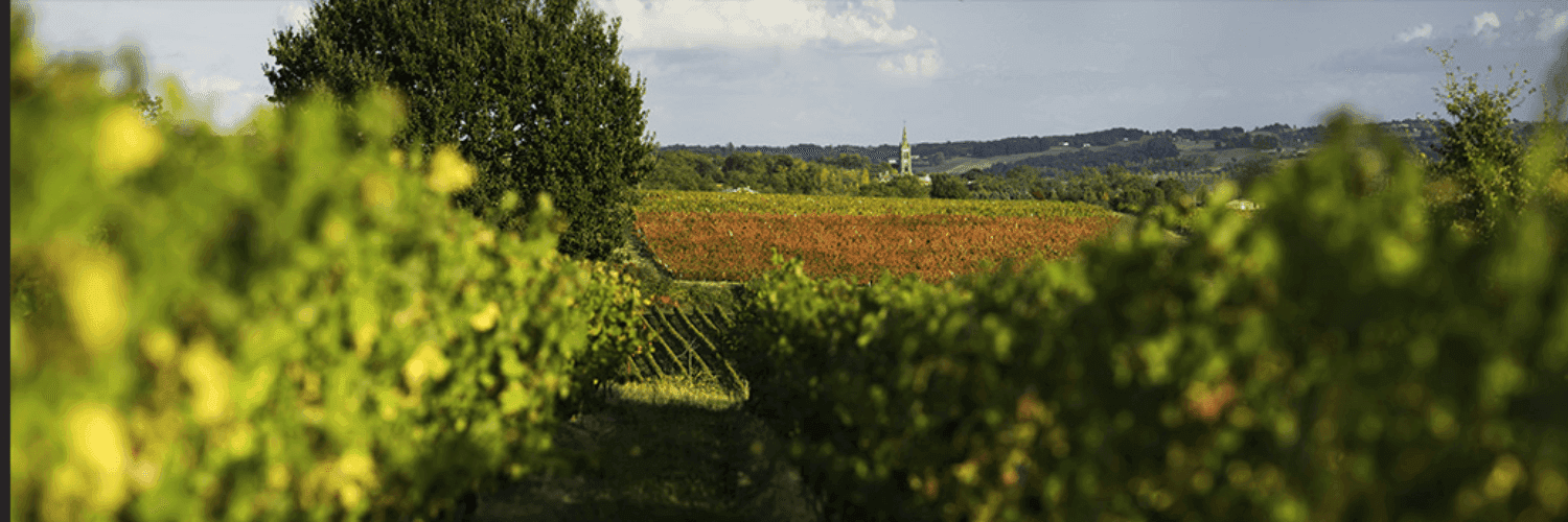 Bannière de Clos Cavenac