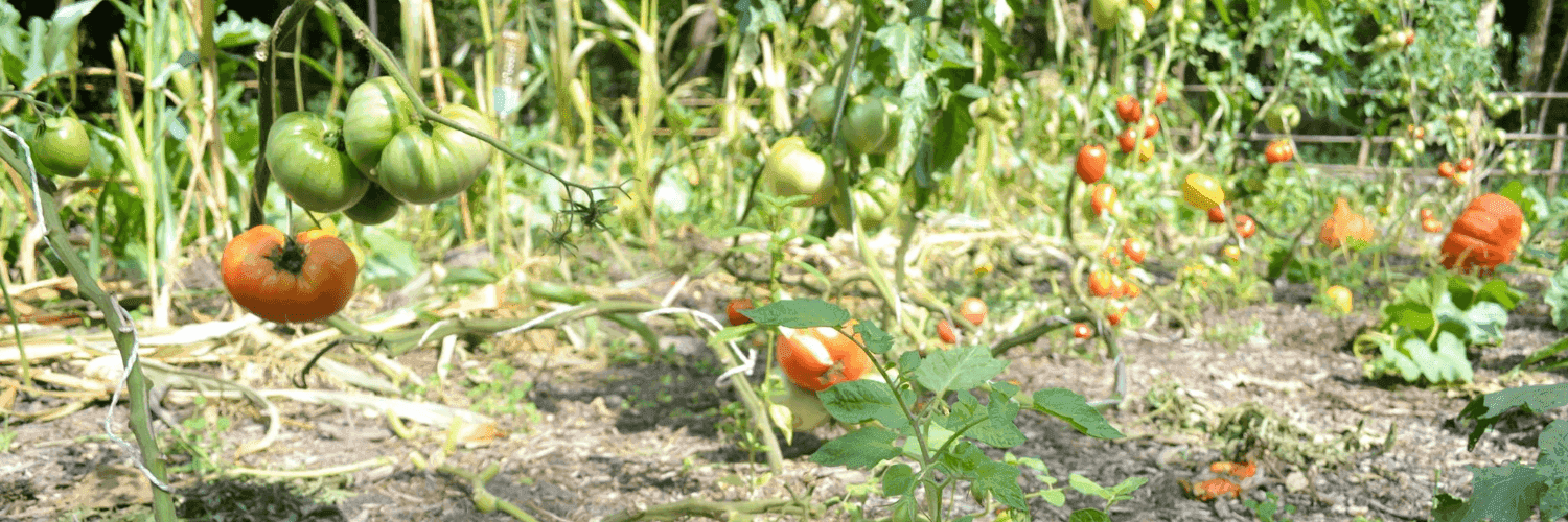 Bannière de La Ferme du Moulin Neuf