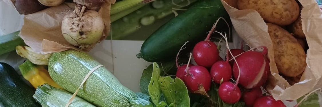 Bannière de Le Potager du Souriou