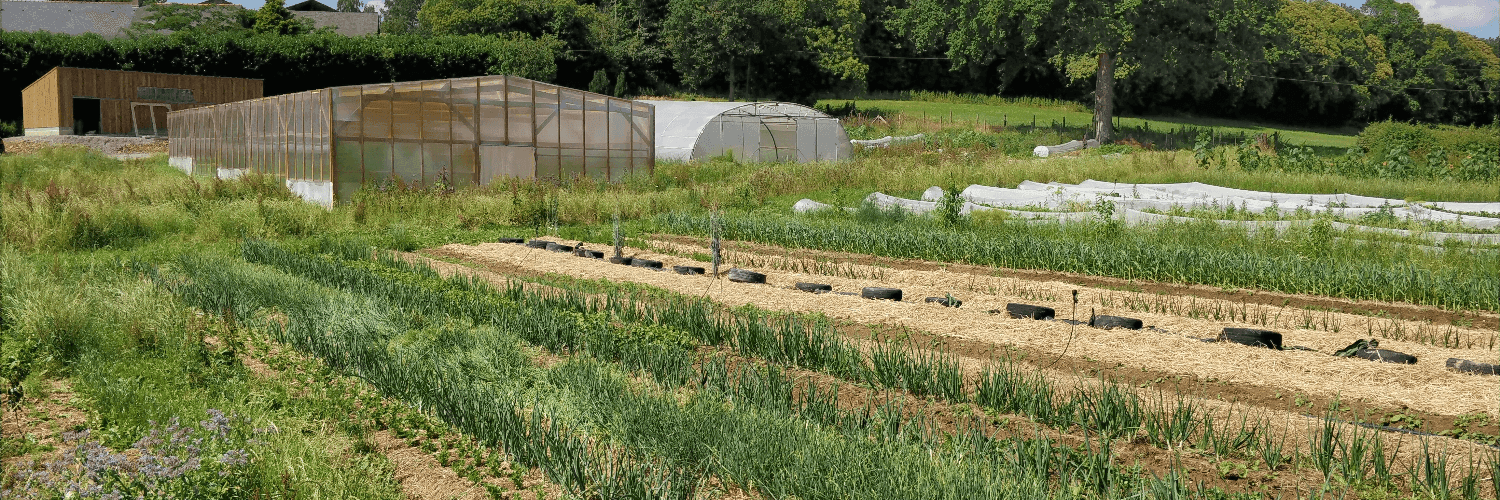 Bannière de La ferme des Coquelinelles