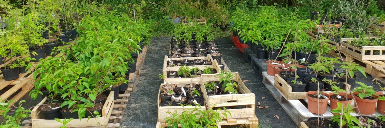 Bannière de Croc Paysage